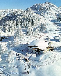 winter.jpg (23570 Byte)